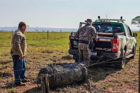 Imagem referente a Objeto misterioso cai do céu em fazenda no Mato Grosso