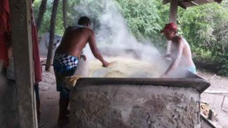 Conflito pela terra é causa de um terço das mortes de quilombolas