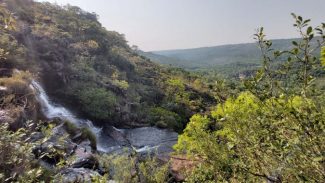 Estado repassa R$ 200 milhões em ICMS Ecológico por Biodiversidade aos municípios