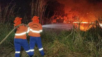 Brasil registrou 2,7 mil focos de incêndio nas últimas 24 horas