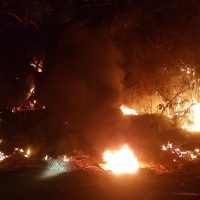 Imagem referente a Corpo de Bombeiros combate incêndio em vegetação na PR-180