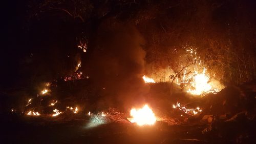 Imagem referente a Corpo de Bombeiros combate incêndio em vegetação na PR-180