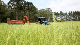 Governo renova Fundo de Aval para garantia em financiamentos à agricultura familiar