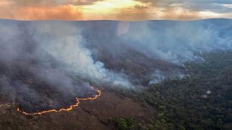 Brasil concentra 76% dos incêndios na América do Sul