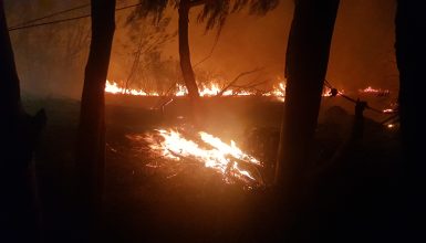 Imagem referente a Fogaréu! Incêndio em vegetação no Veneza se alastra ainda mais