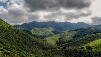 Operação contra o desmatamento da Mata Atlântica começa em 17 estados