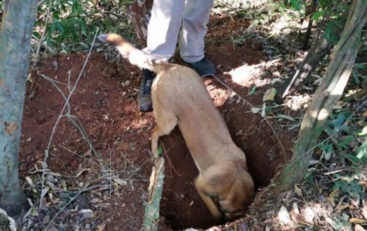 Imagem referente a Ossada achada em Rio do Salto: durante reconstituição martelo foi encontrado