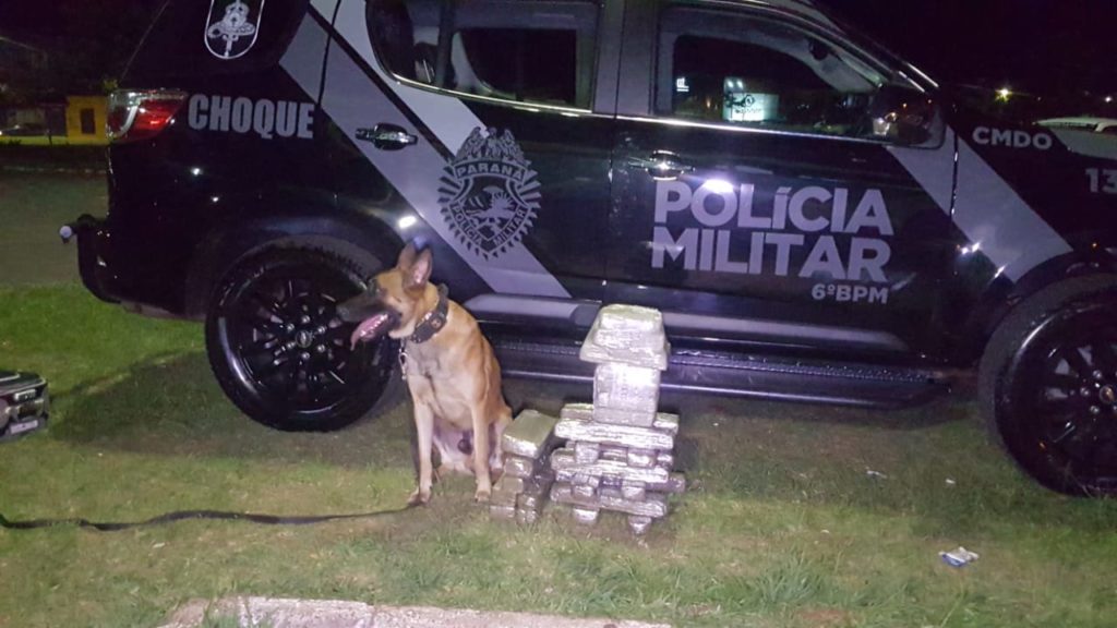 Choque prende casal com 30 kg de maconha durante fiscalização na rodoviária