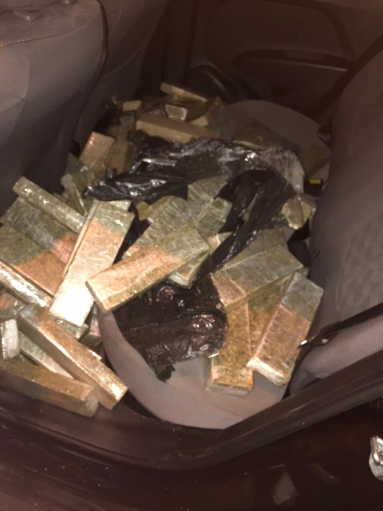 Ações integradas resultam em apreensão de 267 kg de maconha