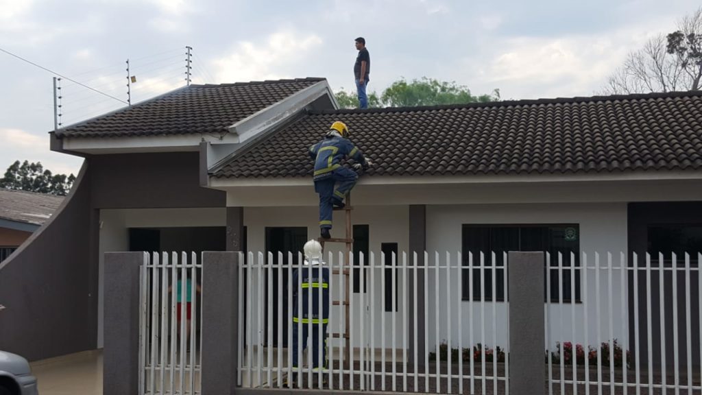Princípio de incêndio é registrado no Pacaembu