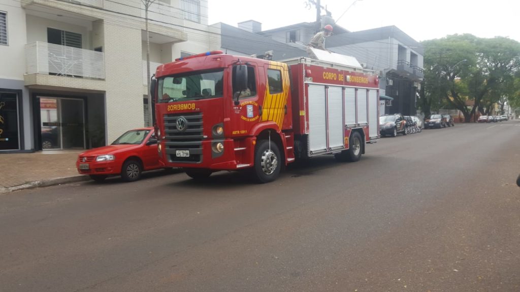 Bombeiros são mobilizados para retirarem gambá de apartamento, em Cascavel