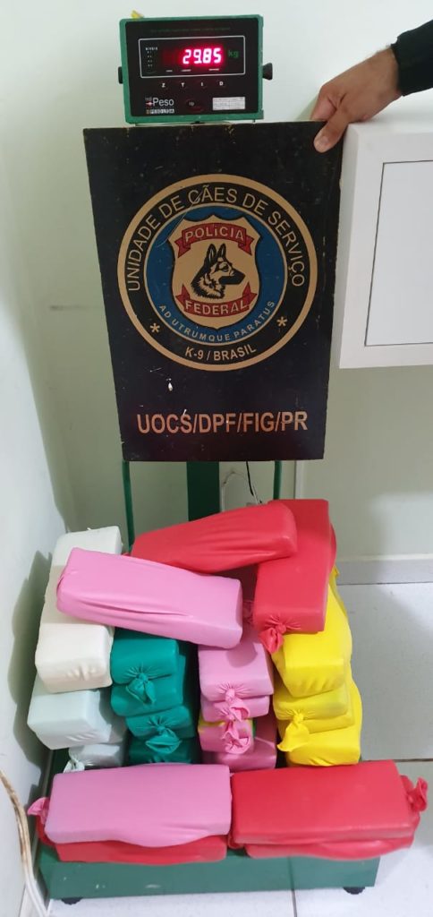 PF apreende aproximadamente 30 kg de maconha