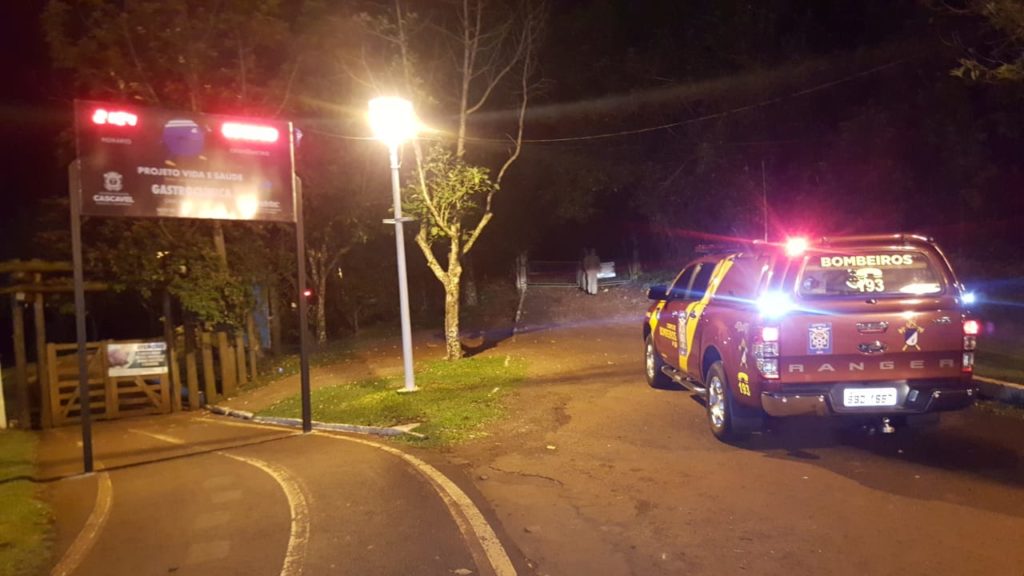 O retorno da Onça? Moradora que afirma ter visto o felino descreve grande susto no Lago Municipal