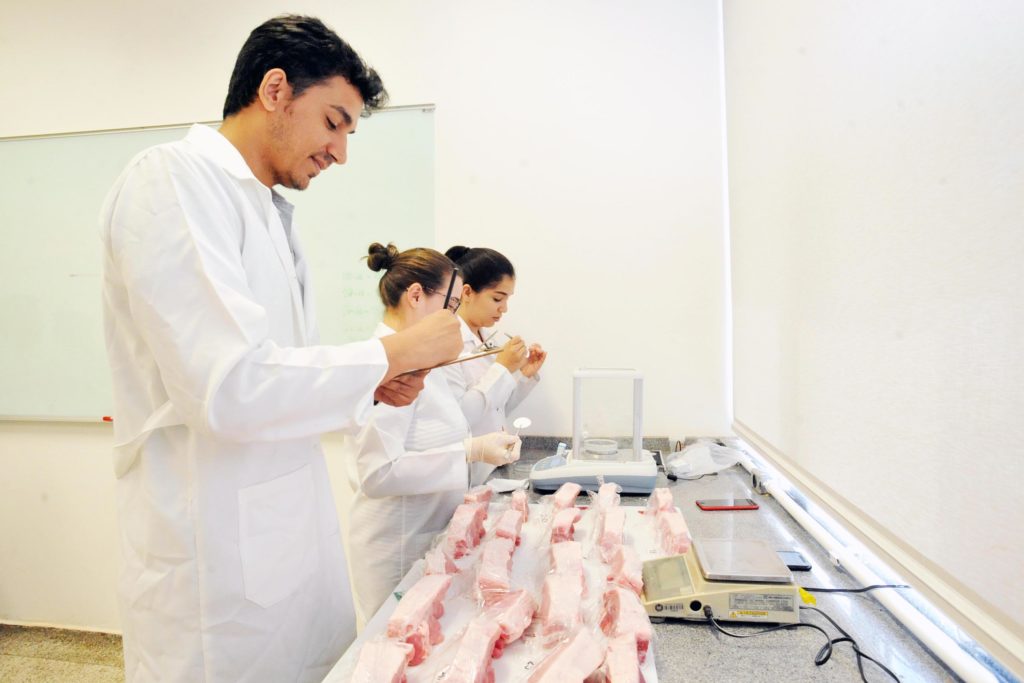 UEL pesquisa visão computacional na avaliação e produção de carnes