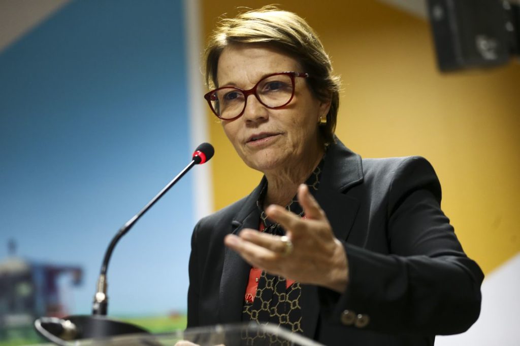 Ministra diz que governo tomou medidas para controlar preço do arroz