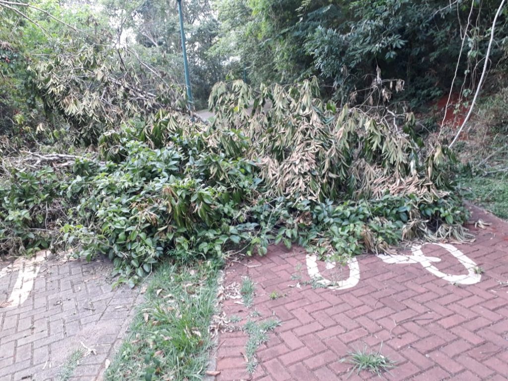 Morador reclama de situação de parque perto do Lago