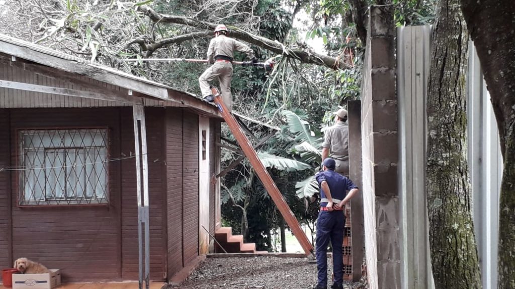 Bombeiros cortam galhos de árvore que podia cair sobre residência