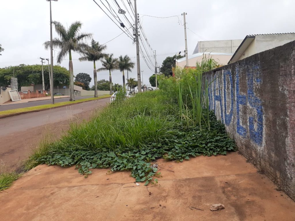 Calçada intransitável gera reclamação de morador no Coqueiral