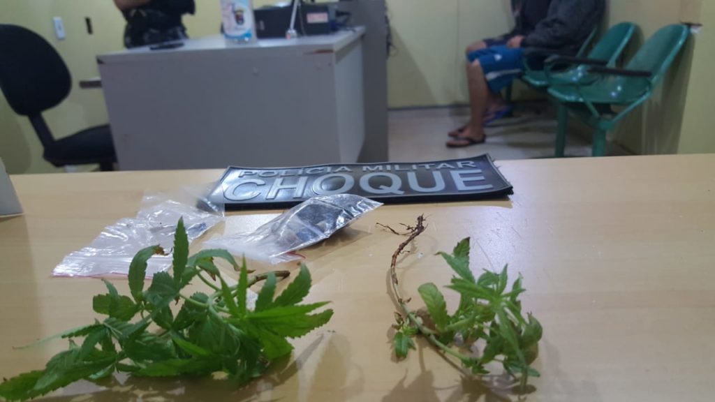 Choque detém menores com pés de maconha e porções prontas para consumo no Bairro Pacaembu