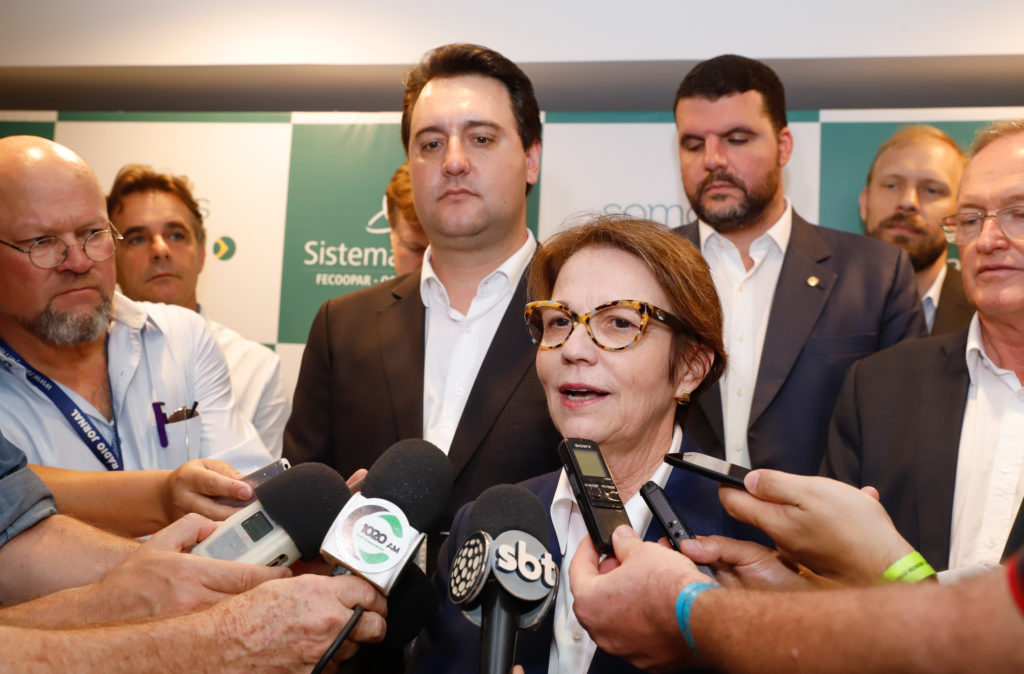 Ministério da Agricultura fortalece Paraná no mercado de carne suína