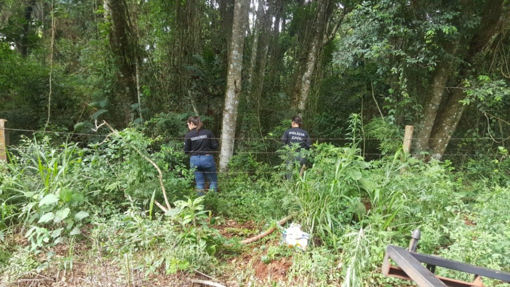 Corpo encontrado na área rural: Bombeiro explica ação de cães farejadores