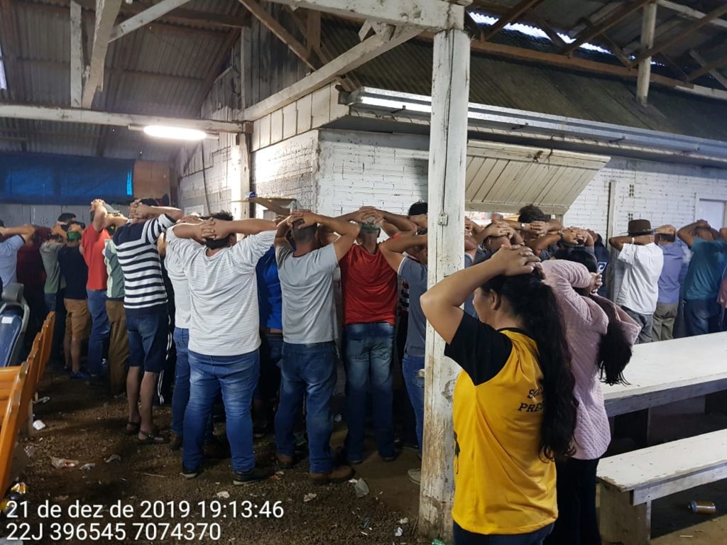 Equipes da PM fecham local onde rinhas de galos eram realizadas; 112 galos vivos foram resgatados