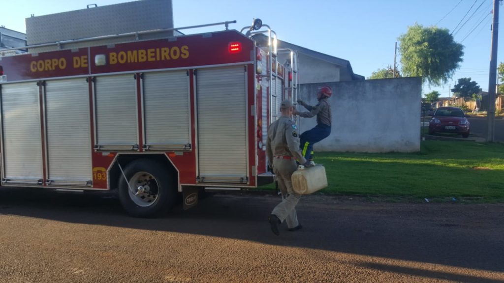 Bombeiros capturam Porco-espinho em imóvel no Jardim Veneza