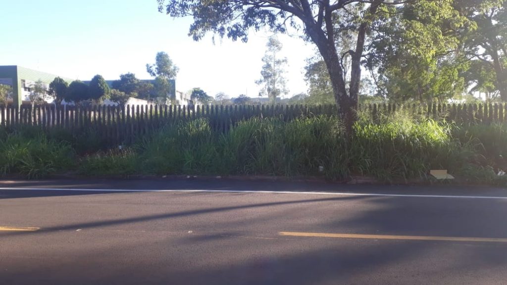Morador reclama de matagal na Rua Guaracas, no Santo Onofre