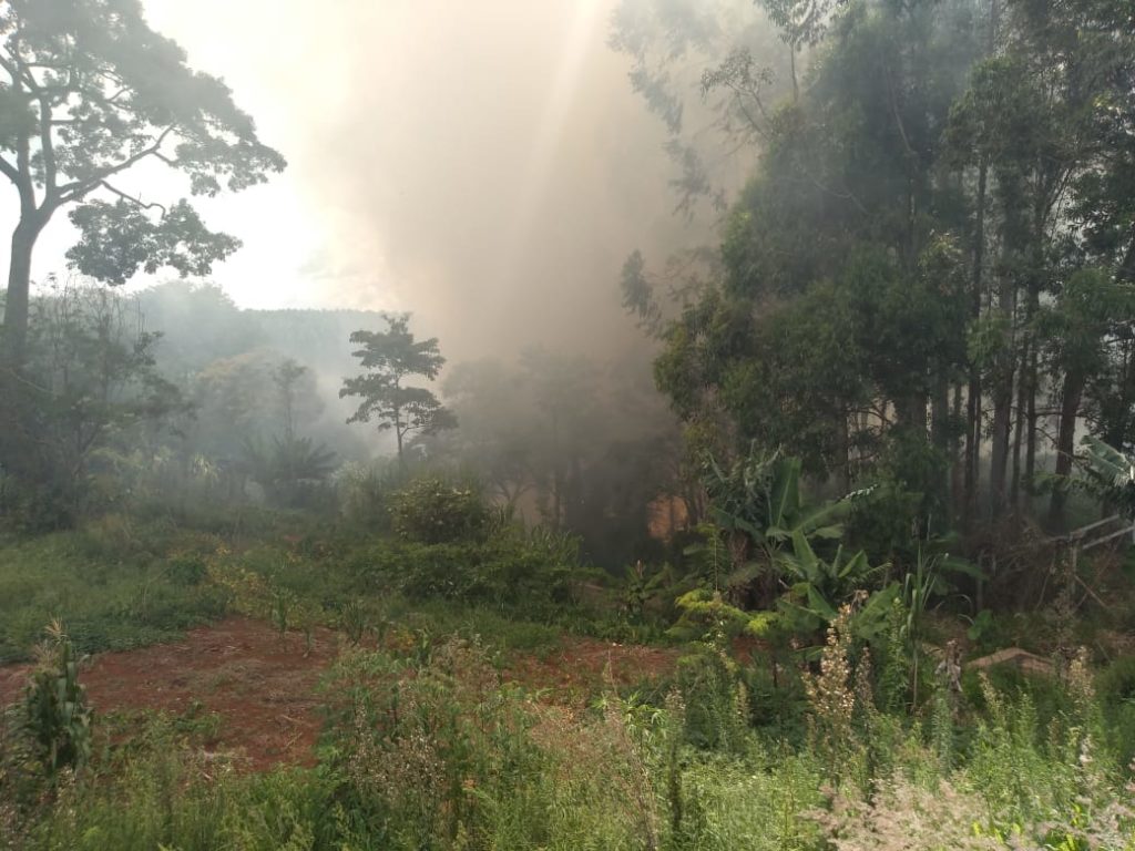 Incêndio ambiental é registrado no Jardim Montreal