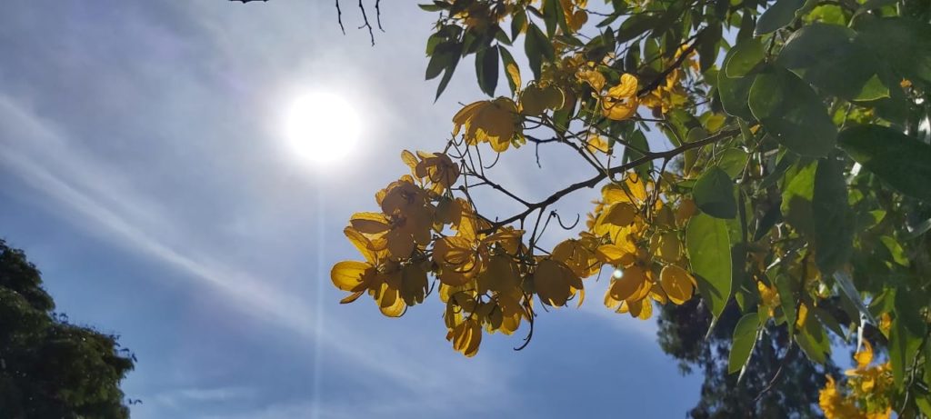 Calor e sol forte permanecem em Cascavel nesta sexta-feira