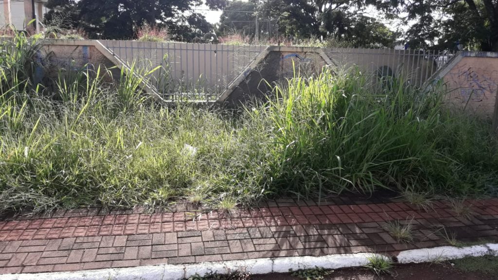 Internauta reclama de matagal em terrenos nos Bairros Brasília e Consolata Internauta reclama de matagal em terrenos nos Bairros Brasília e Consolata