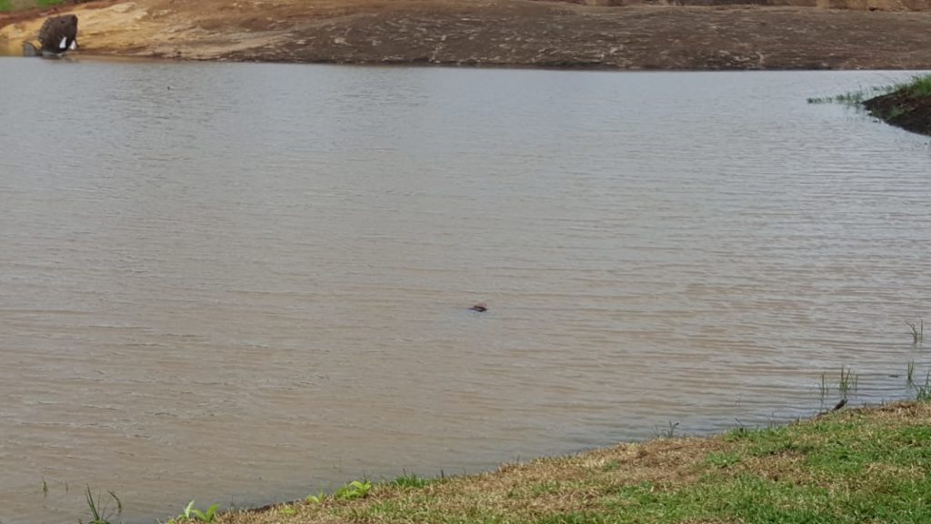 Corpo é encontrado no lago do Ecopark Oeste