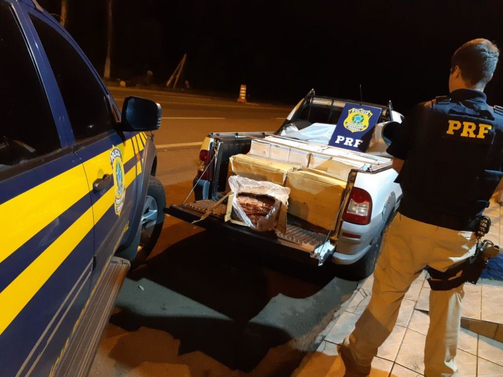 PRF apreende meia tonelada de camarão argentino em Porto Vitória (PR)