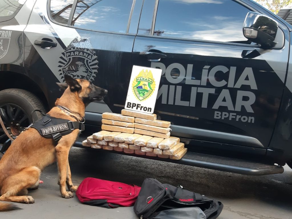 Com auxílio de cães farejadores, BPFron apreende quase 27 kg de maconha em Toledo