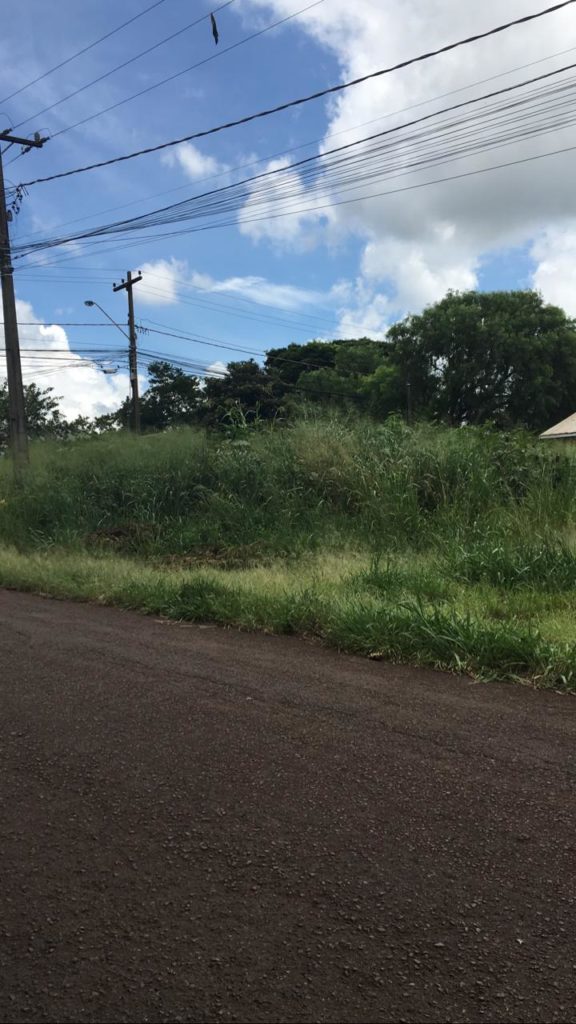 Lote com mato alto tem causado transtornos para moradores