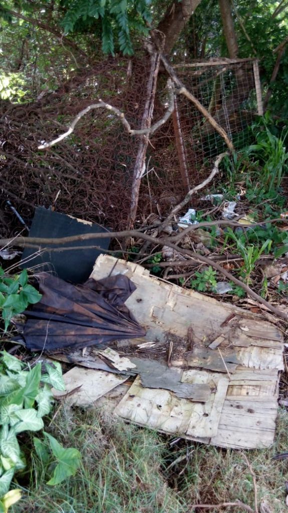 Alto Alegre: moradora cobra fiscalização em terreno com descarte de materiais