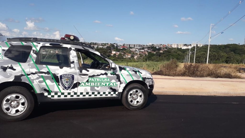 Força-tarefa vai combater crimes contra a fauna e a flora