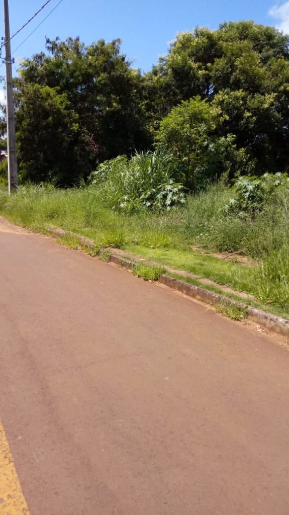 Morador reclama de matagal na Rua Serra do Boi