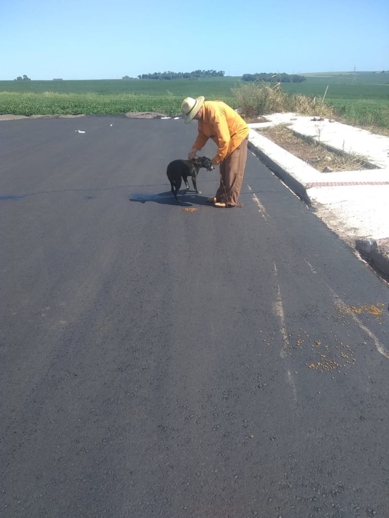 Final feliz: cachorro que era tratado pela Patrulha Ambiental é adotado