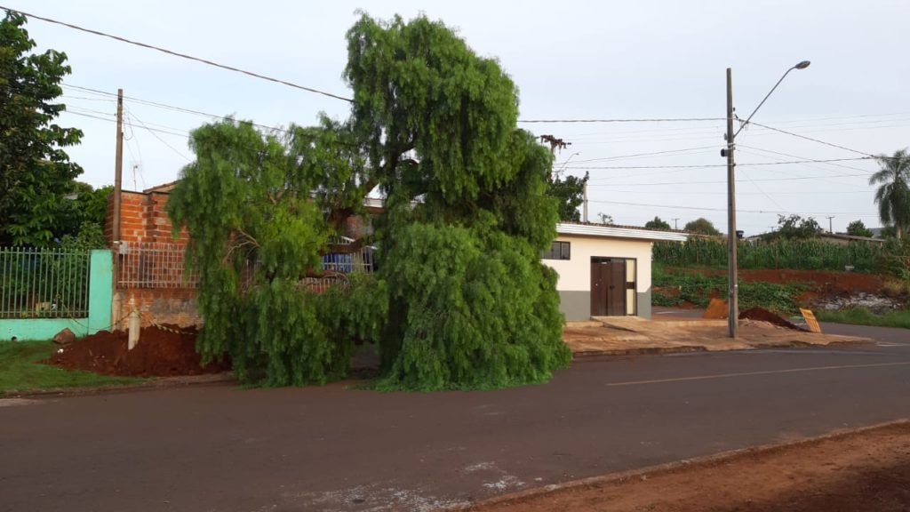 Árvore cai e fica suspensa sobre fiação da rede elétrica no Bairro Morumbi