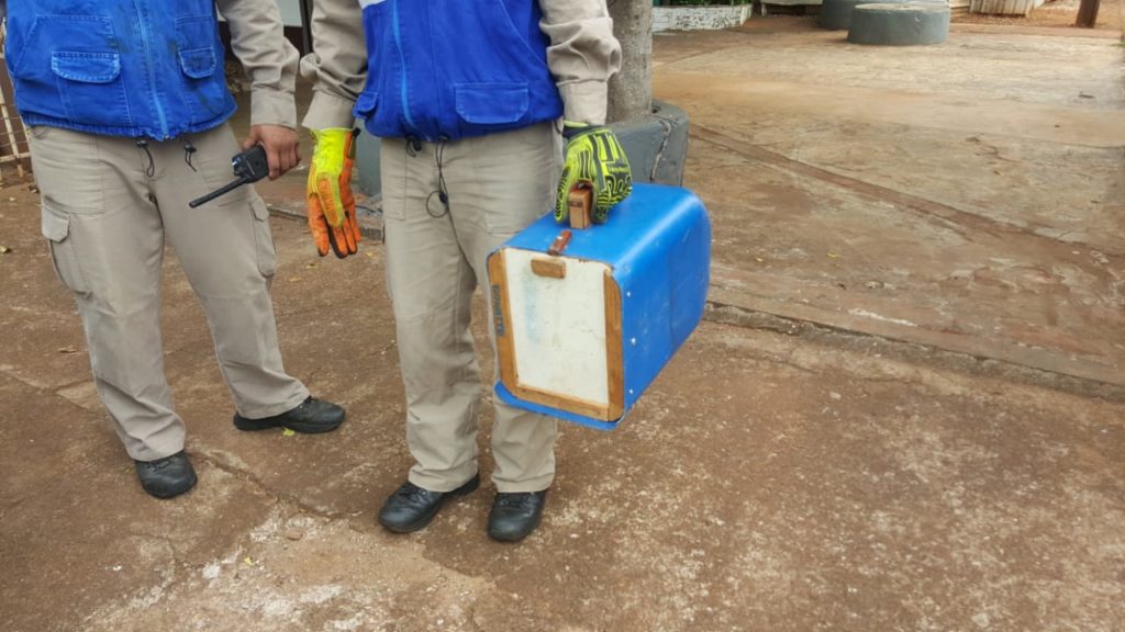Corpo de Bombeiros resgata raposa em residência no Esmeralda