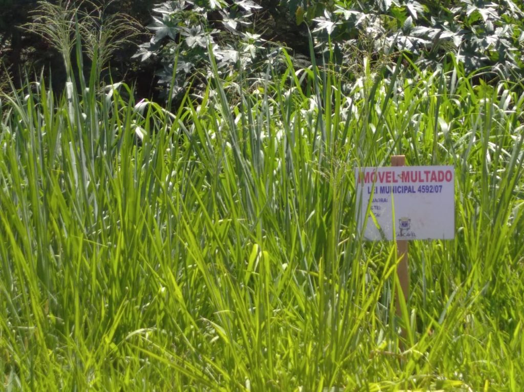 Prefeitura multou o próprio terreno? Secretaria do Meio Ambiente esclarece o caso