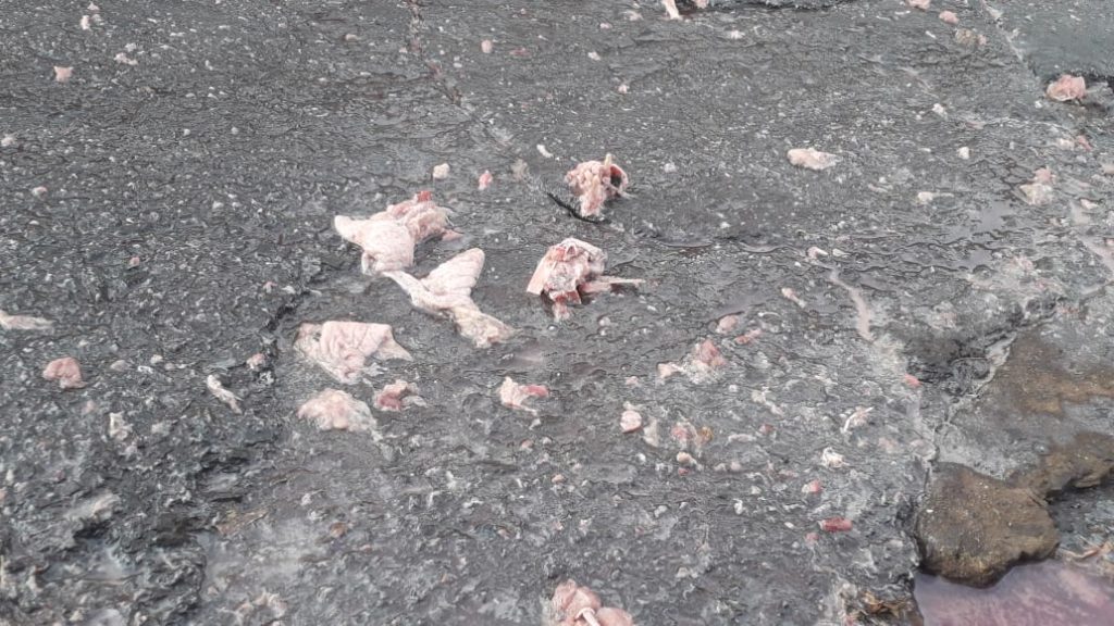 Caminhão derruba restos de frango em via do Brasmadeira