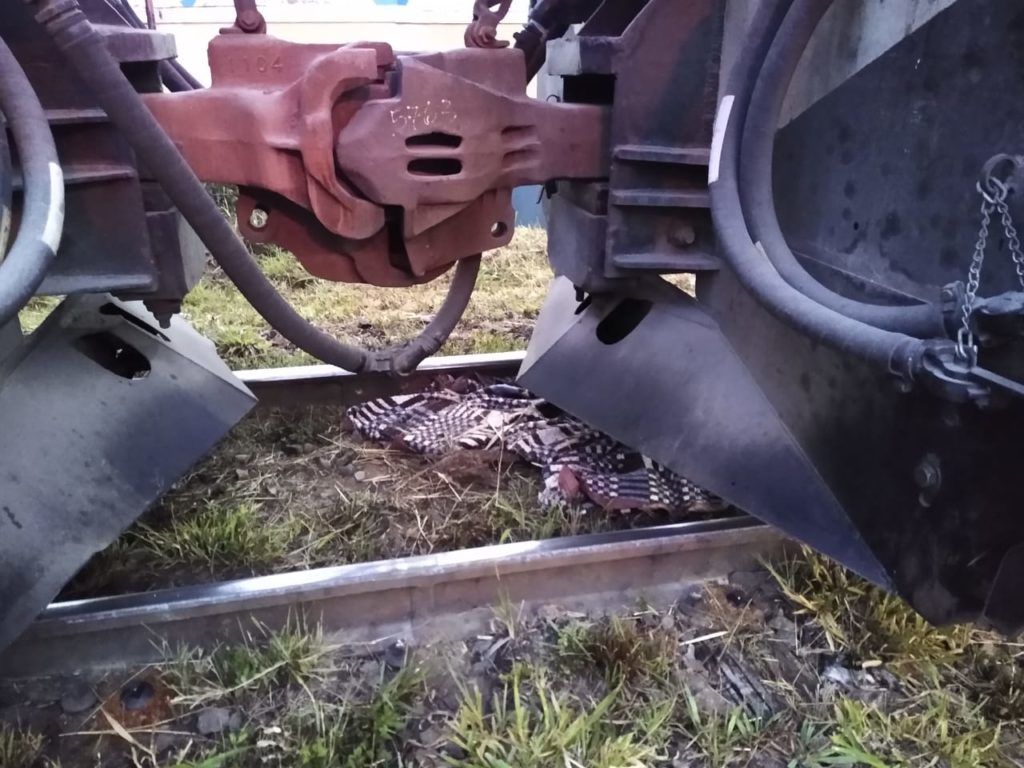 Mulher fica gravemente ferida após ser atropelada por trem no Capão da Imbuia