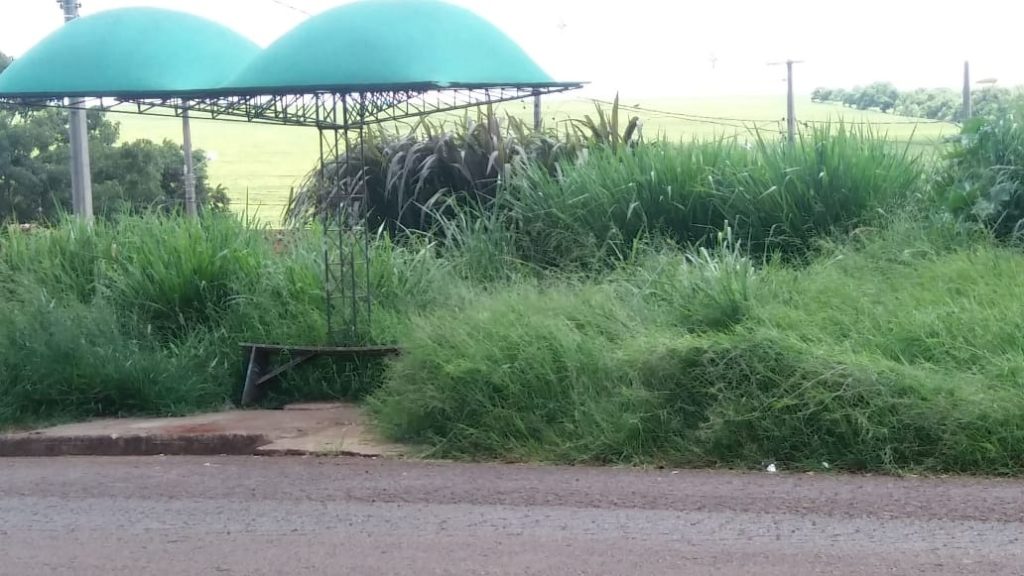 Mato alto em ponto de ônibus gera reclamação de moradora, no Jardim Florença