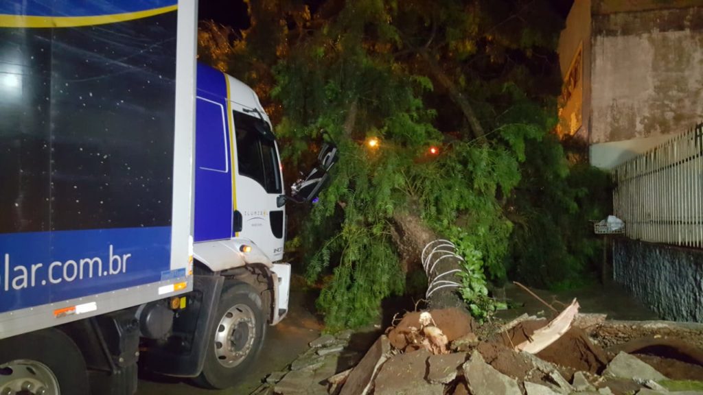 Caminhão atinge árvore na Rua Souza Naves