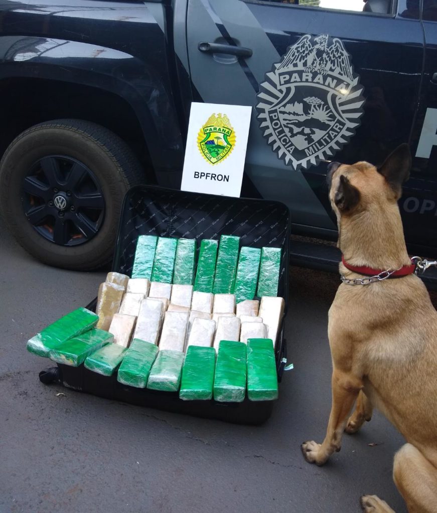 BPFron apreende droga e contrabando após abordagens a ônibus em Toledo