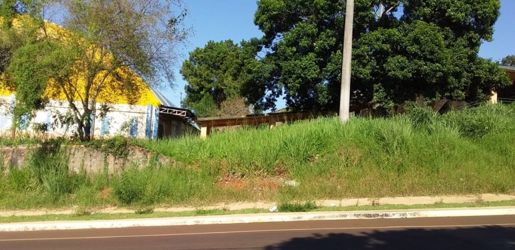 Moradora reclama de mato ao redor de Escola no Brasília II