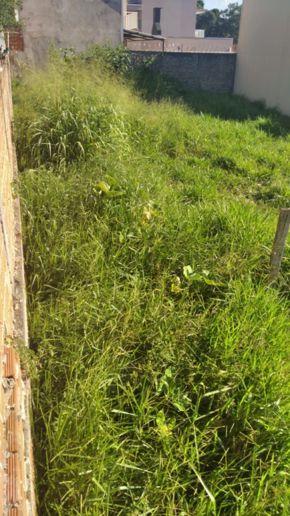 Lote na região do Lago de Cascavel gera reclamação