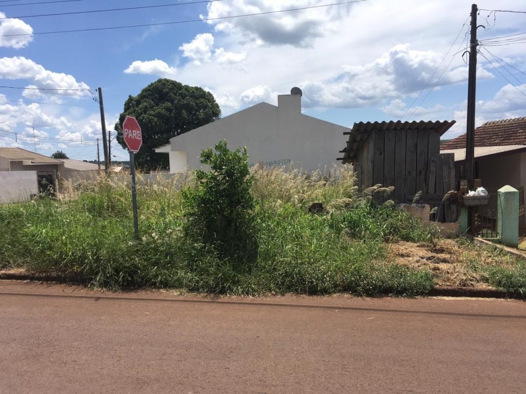 Mato alto e descarte irregular de lixo preocupa morador do Floresta